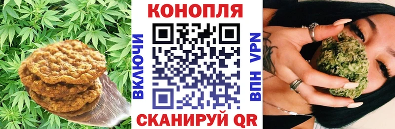 Canna-Cookies марихуана  Купить  Змеиногорск 