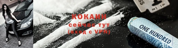 прущая мука Инта