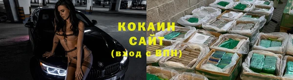дмт Инсар