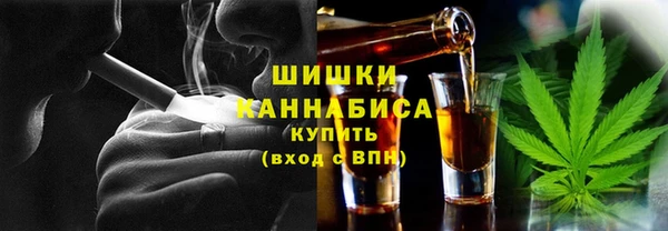 дмт Инсар