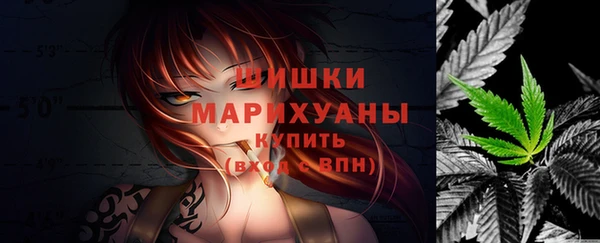 дмт Инсар