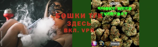 дмт Инсар