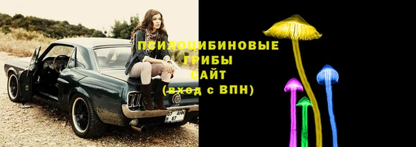 прущая мука Инта