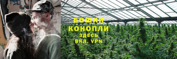 прущая мука Инта