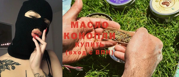 дмт Инсар