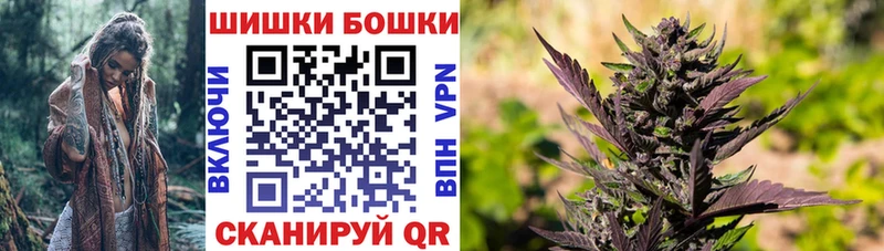 Купить где  Змеиногорск  Канабис план 